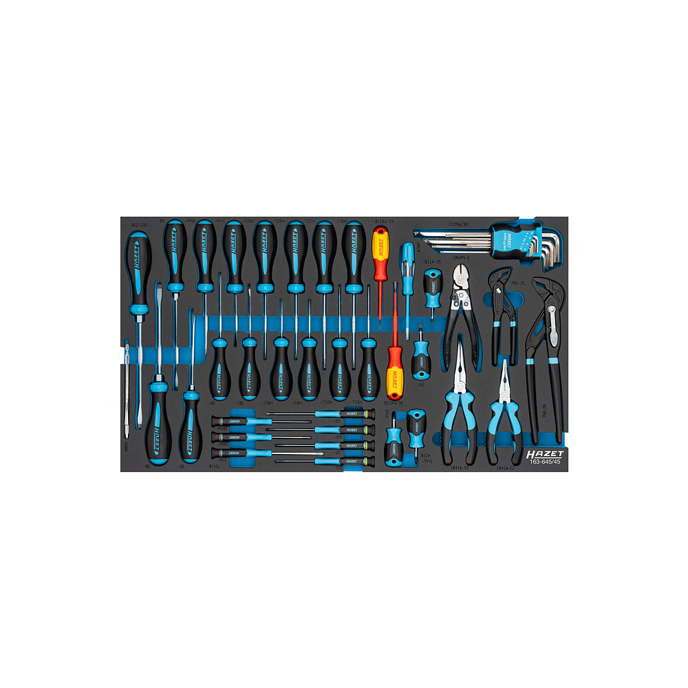 HAZET Werkzeug Satz 163-645/45 ∙ 45-teilig