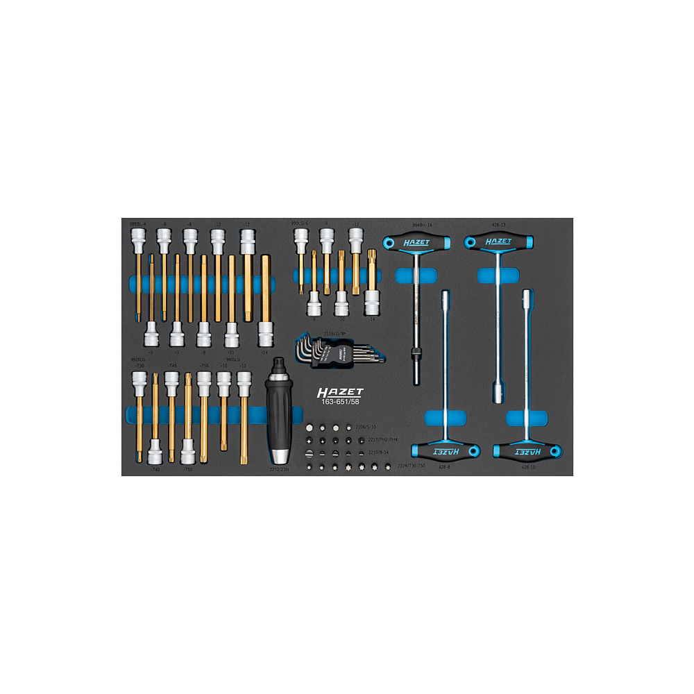 HAZET Werkzeug Satz 163-651/58 ∙ 58-teilig