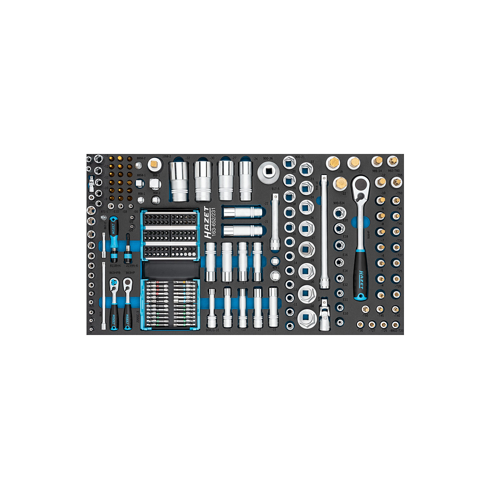 HAZET Werkzeug Satz 163-652/231 ∙ 231-teilig