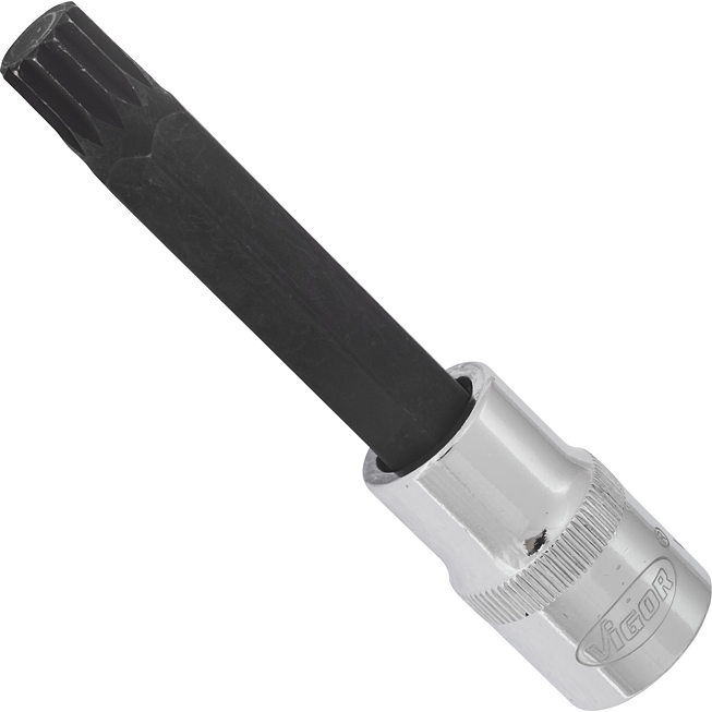 VIGOR Innenvielzahn Schraubendreher-Einsatz ∙ XZN ∙ V2060 ∙ 1/2 Zoll (12,5 mm) Vierkant hohl ∙ Innen Vielzahn Profil XZN ∙ SW M12