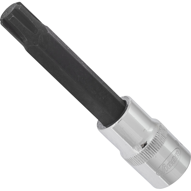 VIGOR RIBE Schraubendreher-Einsatz ∙ V2217 ∙ 1/2 Zoll (12,5 mm) Vierkant hohl ∙ Innen Keilprofil Ribe-CV ∙ SW M12