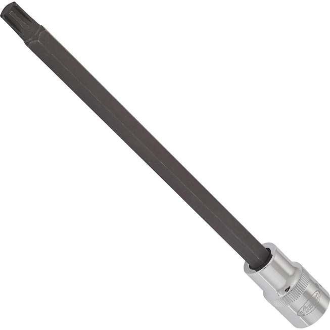 VIGOR RIBE Schraubendreher-Einsatz ∙ V2228 ∙ 1/2 Zoll (12,5 mm) Vierkant hohl ∙ Innen Keilprofil Ribe-CV ∙ SW M9