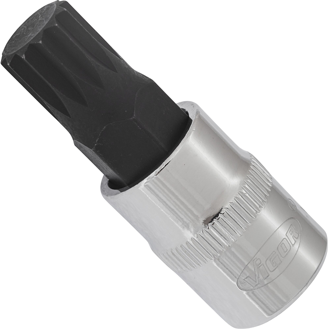 VIGOR Innenvielzahn Schraubendreher-Einsatz ∙ XZN ∙ V6111 ∙ 3/8 Zoll (10 mm) Vierkant hohl ∙ Innen Vielzahn Profil XZN ∙ SW M12